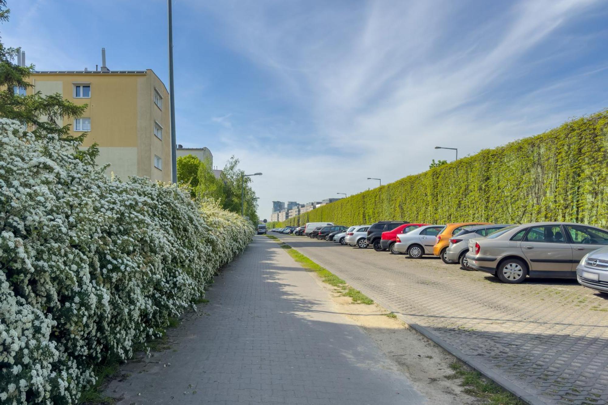 Bukowska Elegancki Z 1 Sypialnia I Biurkiem By Renters Poznań