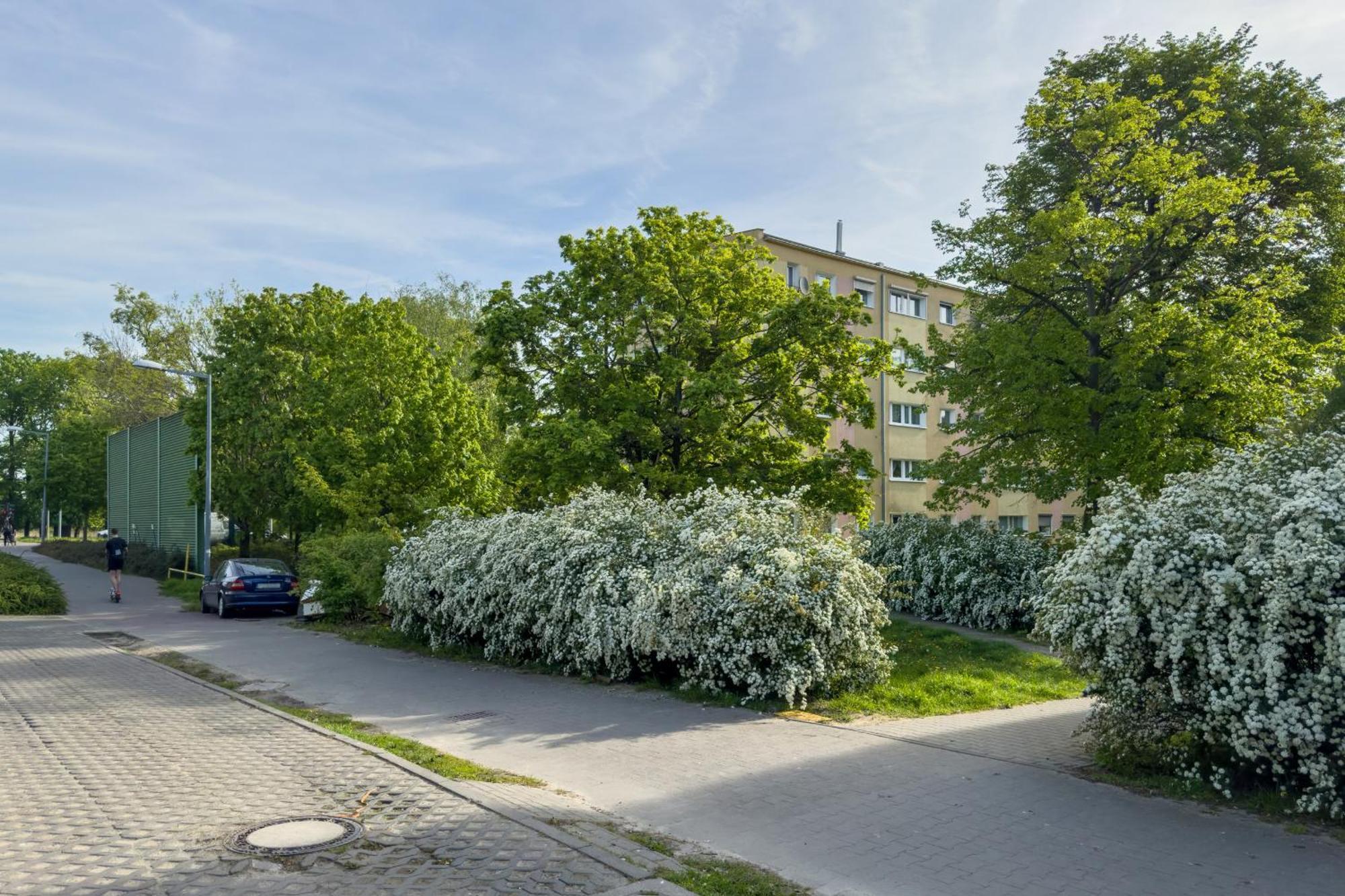 Bukowska Elegancki Z 1 Sypialnia I Biurkiem By Renters